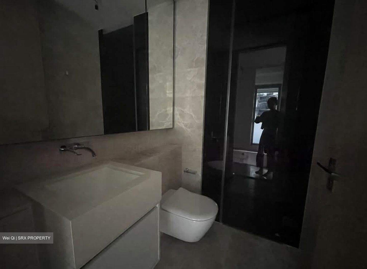 Amber Park (D15), Condominium #603149461